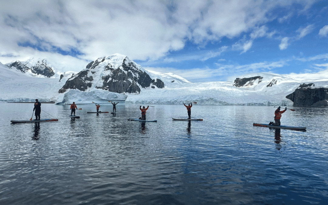 Antarctica: Penguins, Paddleboarding, and… Porcupines?