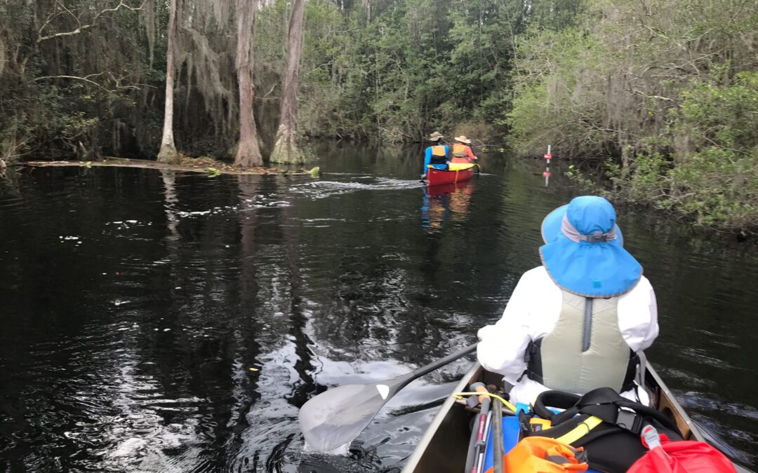 Paddling with Gators (Okefenokee Swamp Expedition)